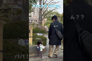 『#対岸の家事』🧹メイキング📹公園で美桜ちゃん､かくれんぼ中🫣#ディーンフジオカ #五十嵐美桜