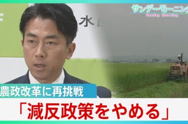 “コメ担当大臣”小泉新農水大臣、コメ不足認め「減反やめる」　農政のタブーに挑戦、過去の反発乗り越えられるか【サンデーモーニング】| TBS NEWS DIG