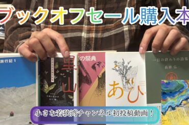 【初投稿】ブックオフセール購入本&レコード紹介！