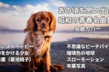 【あの頃を思い出す】昭和の青春名曲集/カバー