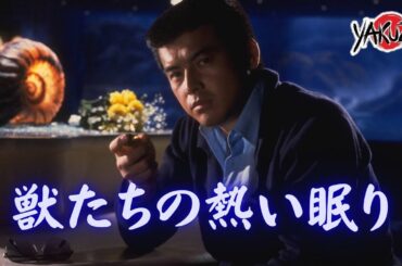 「ヤクザ映画」獣たちの熱い眠り✔️📀📽️サスペンスドラマ最新2025 FULL HD
