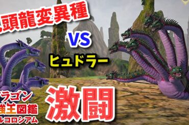 【ドラゴン最強王図鑑】九頭龍変異種で究極魔力大会、一回戦から激闘 【ドラゴン最強王図鑑】九頭龍変異種で究極魔力大会、一回戦から激闘