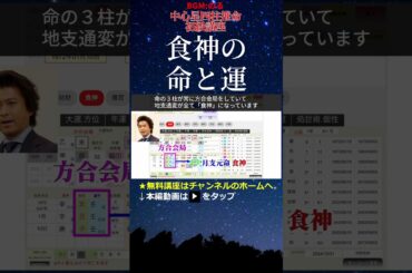 四柱推命経験者必見★食神 命と運 初級5 #食神の女 #食神の男 #月支元命 #月柱天干通変 #年運 #四柱推命 #運勢 #華原朋美 #浅田舞 #山口達也 #貴乃花
