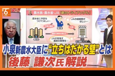 【小泉新大臣に立ちはだかる壁】コメ価格下がらないのは「鉄のトライアングル」のせい？　政治ジャーナリスト解説