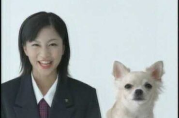 アイフル　安田美沙子