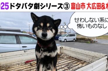 2025狂犬病予防注射会場のドタバタ劇③ 富山市大広田＆水橋編