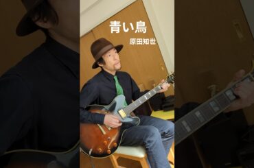 青い鳥 / 原田知世