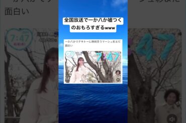 朝のニュースで一か八か嘘つくアナウンサーが面白すぎるwww #shorts #おもしろ #ニュース #嘘 #朝