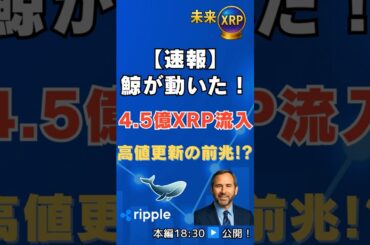 【速報】XRPに4.5億枚流入！鯨アドレスが本格始動 #XRP #ショート #仮想通貨