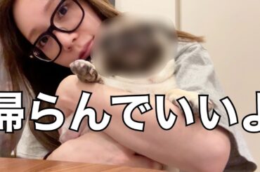 ようこそ、我が家へ