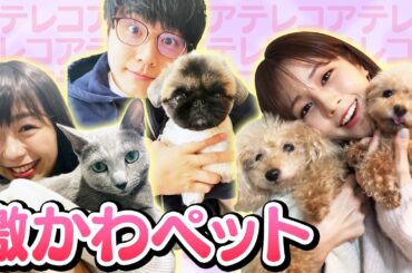 【激カワ】フジアナのかわいい家族大公開！/FODアナマガ「フジアナのいろイロ」