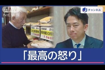 小泉大臣の“備蓄米放出”に、街の米店から“怒りの声”【スーパーJチャンネル】(2025年5月28日)