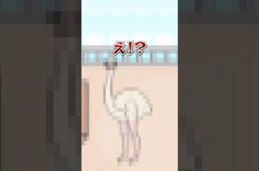 ゴリラをこっち向かせる方法がヤバすぎるwww 【ぼっちゃん】#脱出ゲーム #vtuber #新人vtuber