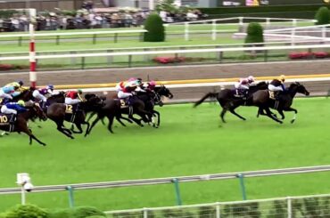 第86回オークス GⅠ 2025.05.25 シュタルケ＝カムニャック 桜花賞組撃破快勝最終版