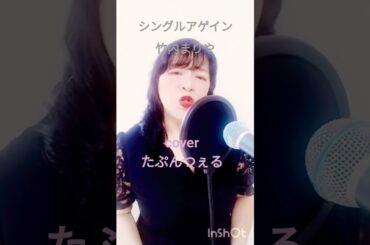 シングルアゲイン　【竹内まりや】cover　たぷんつぇる