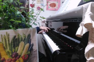 #ベジタブル #Vegetable #大貫妙子 #資生堂 '85春のキャンペーンソング #坂本龍一 編曲