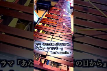 【マリンバ演奏】back number『ブルーアンバー』月10ドラマ主題歌