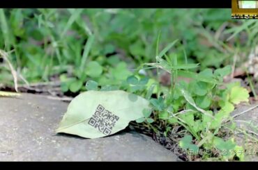 2026年度学際情報学府入試説明会-06先端表現情報学コース（筧康明 コース長）