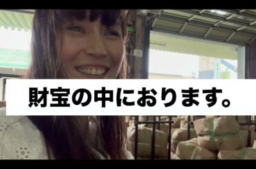 小原春香園さんと行く〜下堂園見学ツアー「おいしさの秘訣に触れる一日」〜