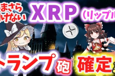 【ゆっくり解説】 いまさら聞けない･･･ XRP（リップル）　 #リップル  #暗号資産　#ガルスTV
