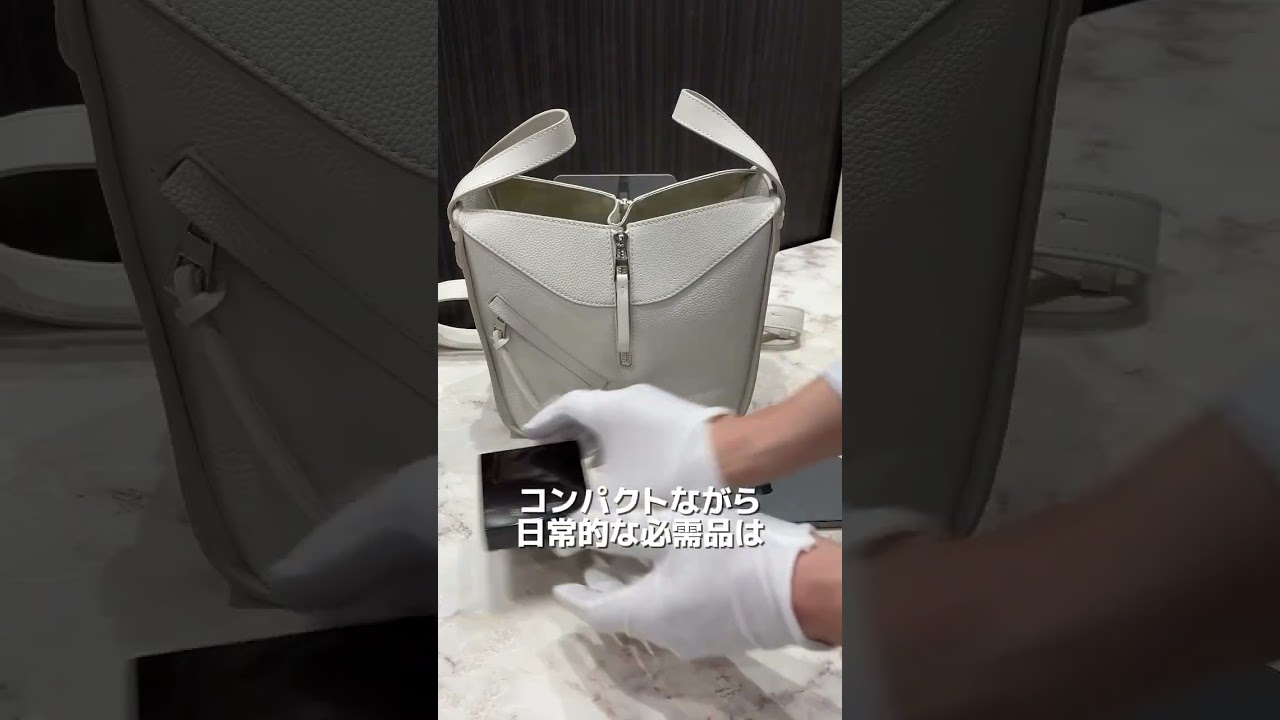 【LOEWE】田中みな実さんが持っていたバッグをご紹介します！#loewe #エコプラス #バッグ