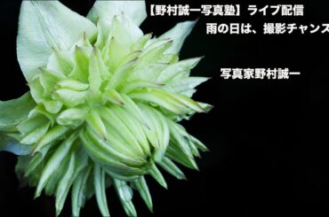 「野村誠一写真塾」ライブ配信、雨の日は、チャンスだと、この考え方は、、、