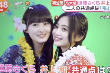 さくなぎの共通点は・・・毛？！