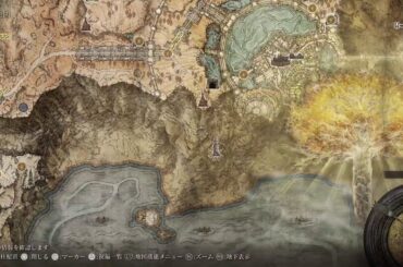 コロナ陽性なのでエルデンリングDLCをやる