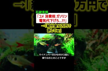 石破首相「コメ、消費税、ガソリン、電気代下げろ??」→「10万円給付金で許してｗ」