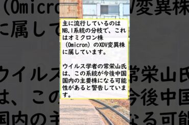 【中国コロナ感染爆発】北京の病院が限界寸前 「10回以上陽性になった」　「今回の症状はこれまでよりひどい、喉がナイフで切られるように痛い、咳と嘔吐が止まらない」　「発症してから10日間苦しんでいる」