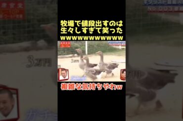 命の値段安すぎるwww #千鳥 #相席食堂 #大吾 #ノブ #お笑い #芸人