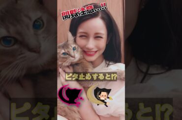 ダレノガレ明美があの姿に⁉＃ピタ止めチャレンジ＃可愛い女の子＃女優