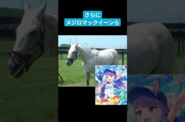 「消えかけた血脈が、日本で咲かせた奇跡」ーバイアリーターク #ウマ娘 #shorts #競馬 #名馬名鑑