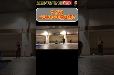 【クイズ】このキャッチ名は何？