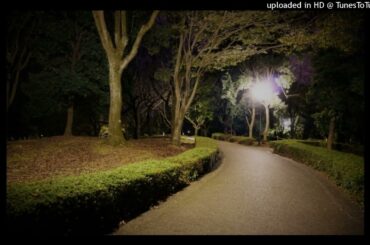 What are you waiting for ／ 倉木麻衣