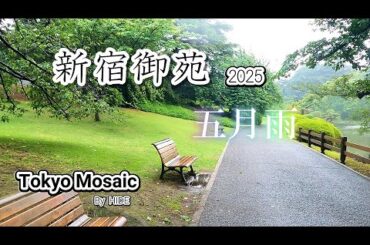 「新宿御苑2025　五月雨」雨の新宿御苑を歩いてきました。雨の匂いと新緑の木々、日中でも人影はまばらで、ちょっとした、気分転換にお勧めです。
