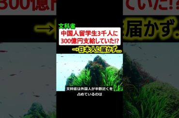 文科省、中国人留学生3千人に300億円支給していた!?→日本人に届かず…