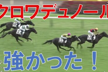 日本ダービー2025 結果 レース回顧 クロワデュノールがダービー馬に ミュージアムマイルとファンダムの敗因を分析