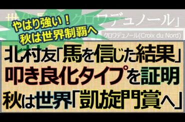 【一口馬主】秋は世界挑戦「クロワデュノール」皐月賞２着惜敗から日本ダービー制覇！秋の最大目標は凱旋門賞☆