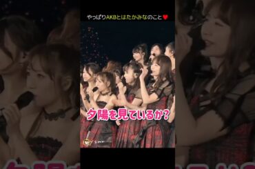 【先輩たちに愛されぱるる】夕陽を見ているか？ 【ぱるる部分のみ】 #島崎遥香 #ぱるる #AKB48 #高橋みなみ #前田敦子 #大島優子 #小嶋陽菜 #宮脇咲良 #板野友美 #Shorts