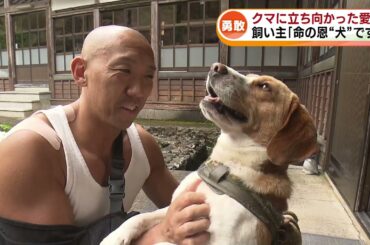 【恩“犬”】クマに襲われた住職を助けたのは愛犬の“チコ”《新潟》