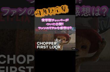 【海外の反応】実写版チョッパーがついに公開！ファンのリアルな感想は？【Netflix×ONE PIECE】 #ONEPIECE #ワンピース #チョッパー #海外の反応