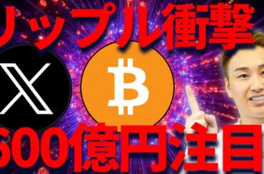 リップル600億円！企業がXRPに注目する理由とは？