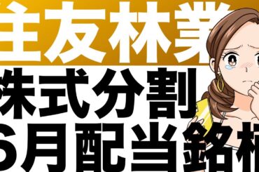 【住友林業】配当利回り4%超え、6月配当銘柄。株式分割発表も、すでに分割した？くらい下がっている株価、どこまで下がる？どこで買う問題。（25年12月期第1四半期）