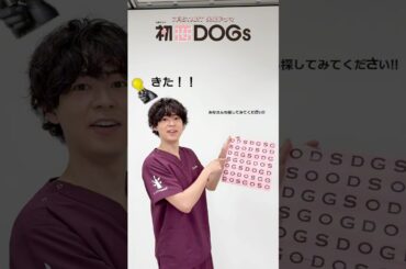 成田さんが挑戦! DOGSを探せ🔎!『#初恋DOGs』🐕#成田凌