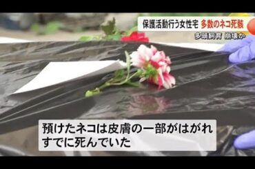 熊本市でネコの保護活動を行っている女性宅で多数のネコの死骸【熊本】 (25/06/02 19:00)