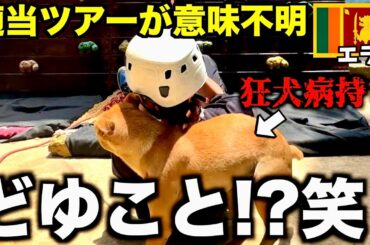 【着地に犬】意味わからん国のツアーは意味わからんことが起きる