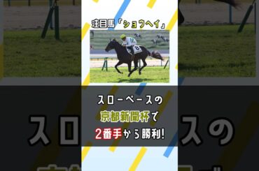 【日本ダービー2025】皐月賞組じゃなくても一発あるぞ⚾️ #shorts #競馬 #予想 #ショウヘイ