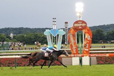 2025/6/1 東京競馬場 東京12R 目黒記念 ゴール板前 1着アドマイヤテラ 2着ホーエリート 3着マイネルクリソーラ
