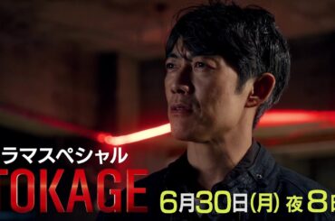 【予告】「TOKAGE 警視庁特殊犯捜査係」｜テレビ東京